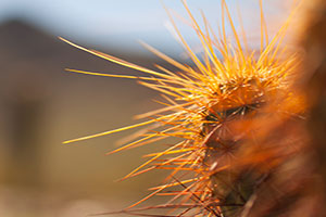 安卓ddos攻击工具